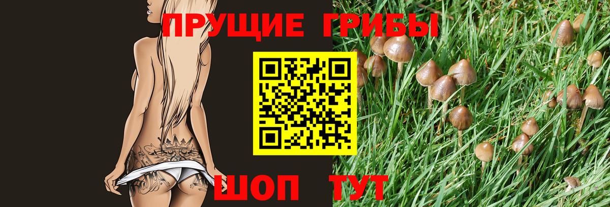 Арсеньев  Псилоцибиновые грибы GOLDEN TEACHER  Вход с VPN  Псилоцибиновые грибы MAGIC MUSHROOMS 